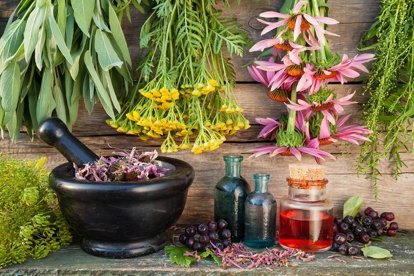 4 Powerful Herbs for Natural Pain Relief