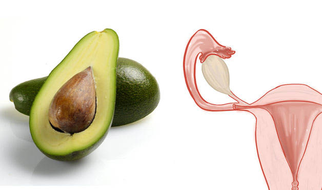 Avocados-UterusFoods-That-Look-Like-Body-Parts