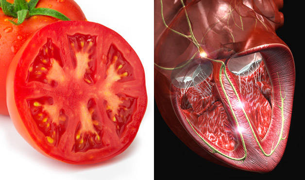 Tomato-HeartFoods-That-Look-Like-Body-Parts