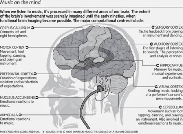 Music-Affects-and-Benefits-our-Brains