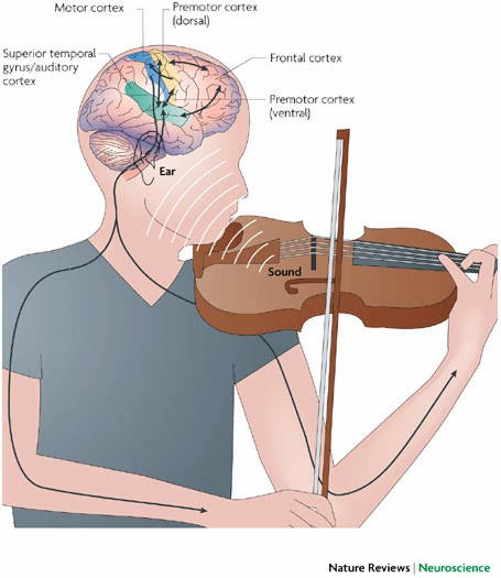 Music-Motor-and-Reasoning-Skills