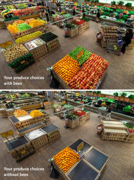 grocery store - bee dies