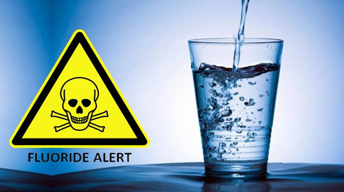 Read more about the article Bad for Teeth, the Brain and Pineal Gland – Is Fluoridating Water Worth It?