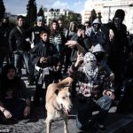 04-The Story of Loukanikos and Other Greek Riot Dogs