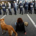 07-The Story of Loukanikos and Other Greek Riot Dogs