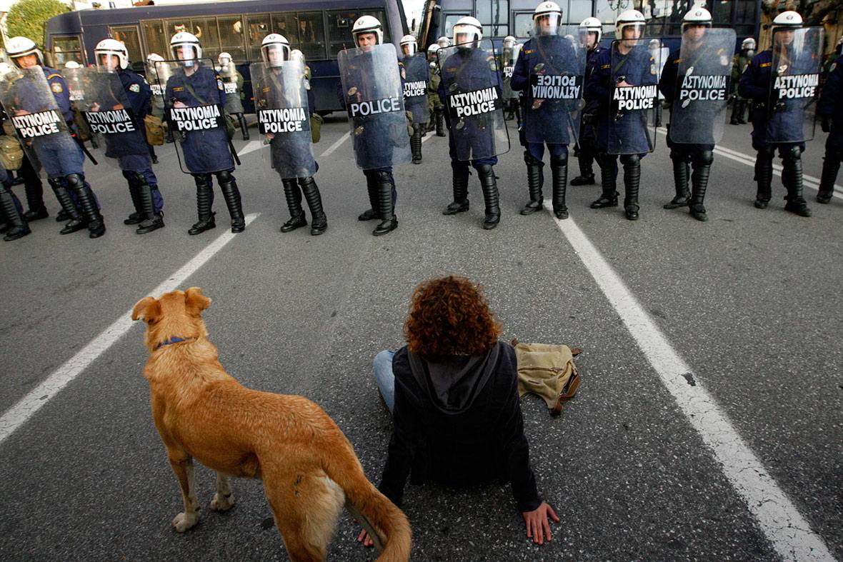 07-The Story of Loukanikos and Other Greek Riot Dogs