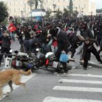 08-The Story of Loukanikos and Other Greek Riot Dogs