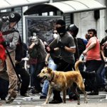 09-The Story of Loukanikos and Other Greek Riot Dogs