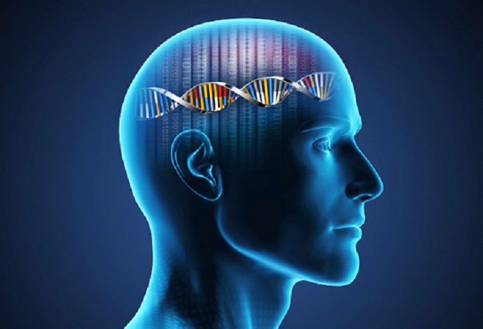 Read more about the article Junk DNA? Or Does It Reveal The Source Of Our Mind & Intelligence?