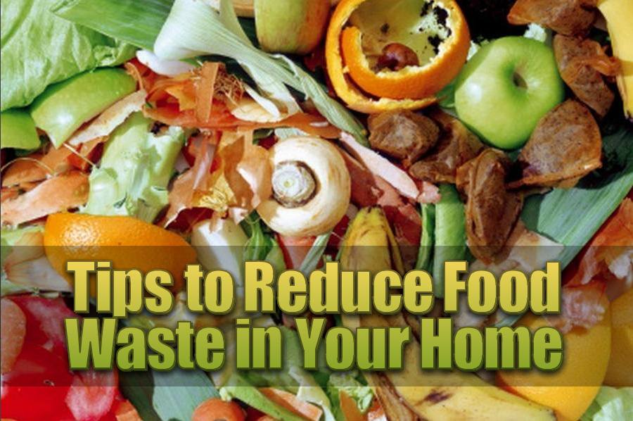 Tips to Reduce Food Waste in Your Home