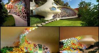 Organic Architecture: Amazing Sustainable Home Designs Inspired by Nature