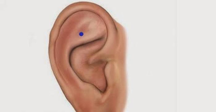 Read more about the article Here’s What Happens if You Massage This Point On The Ear