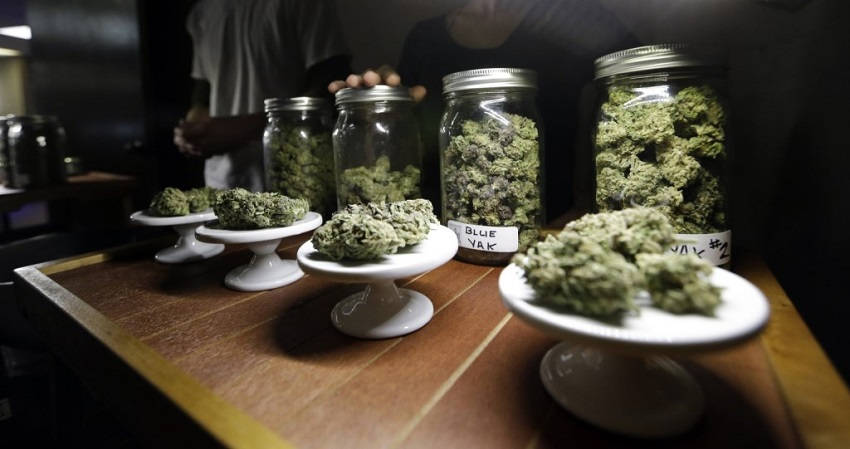 50 States Legalize Medical Marijuana