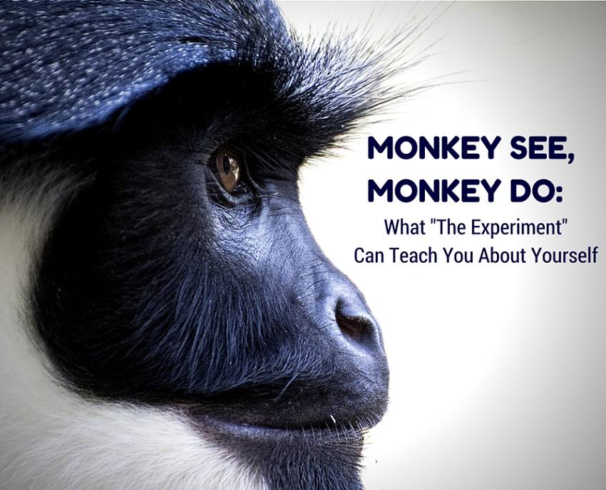 Social Experiment With 5 Monkeys