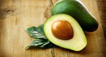 Some More Reasons to Eat Avocados Every Day