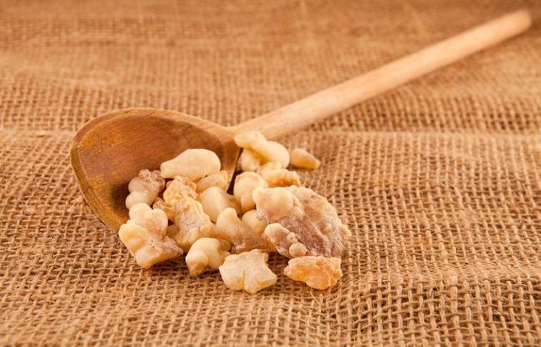 Read more about the article The Easy Guide to Make Frankincense Water That Will Solve Your Health Problems