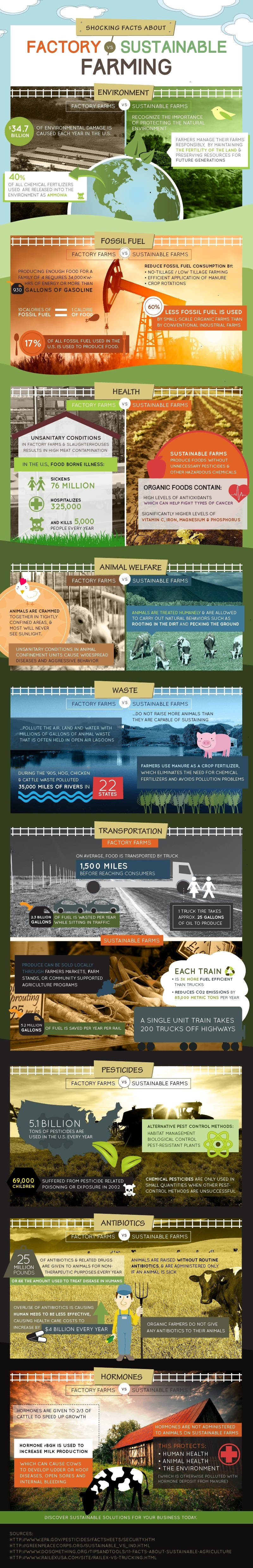 Shocking Facts About Factory Farming VS Sustainable Farming