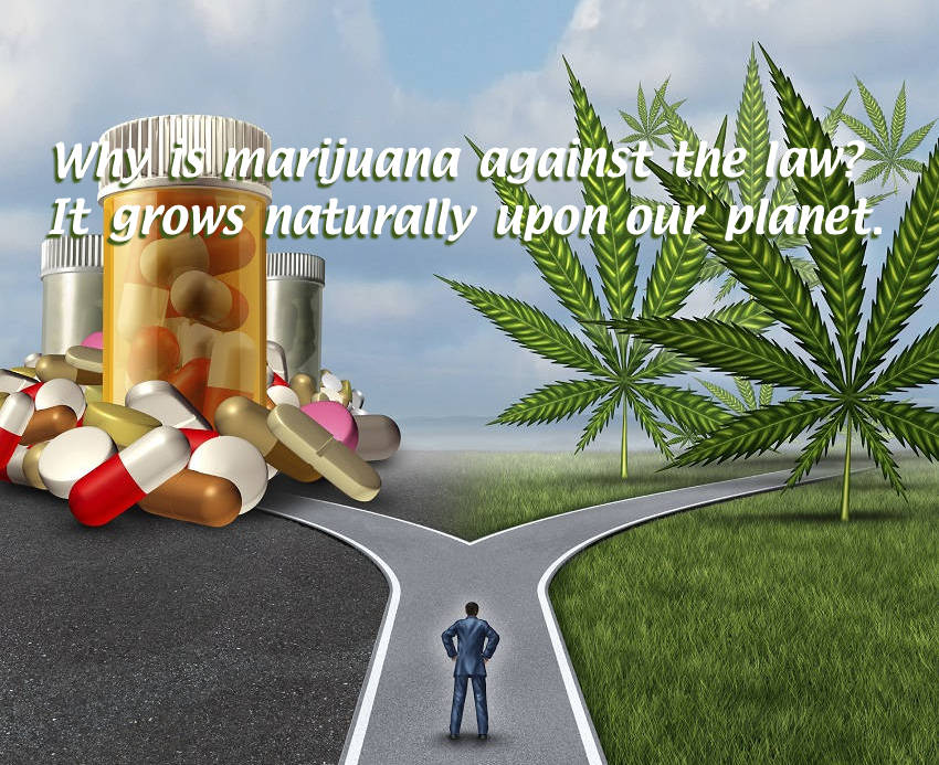 The Truth Behind Medical Marijuana - Infographic