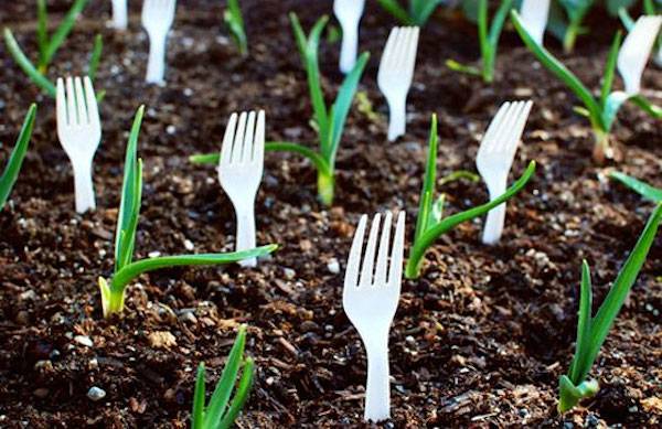 Keep pests and animals away with plastic forks