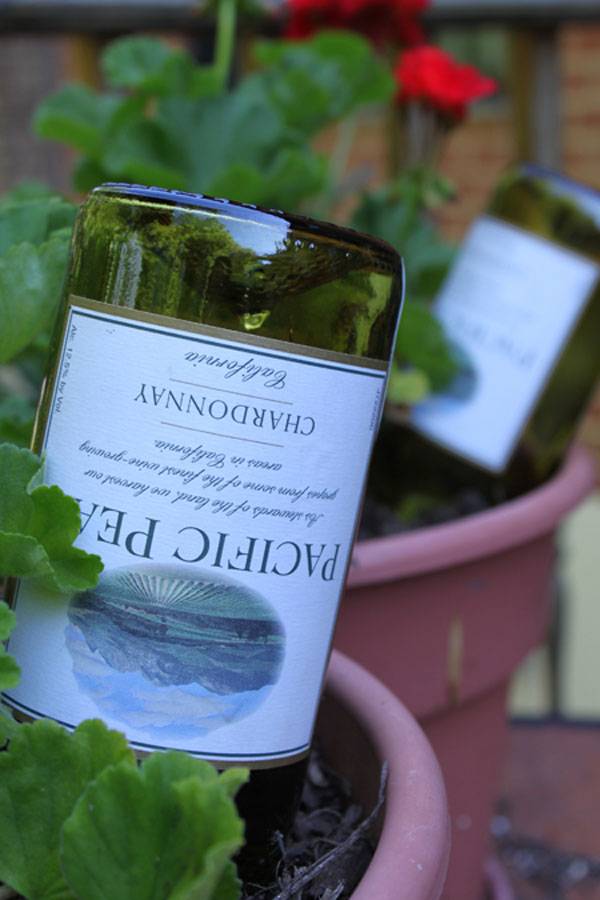 Use wine bottles to irrigate your plants