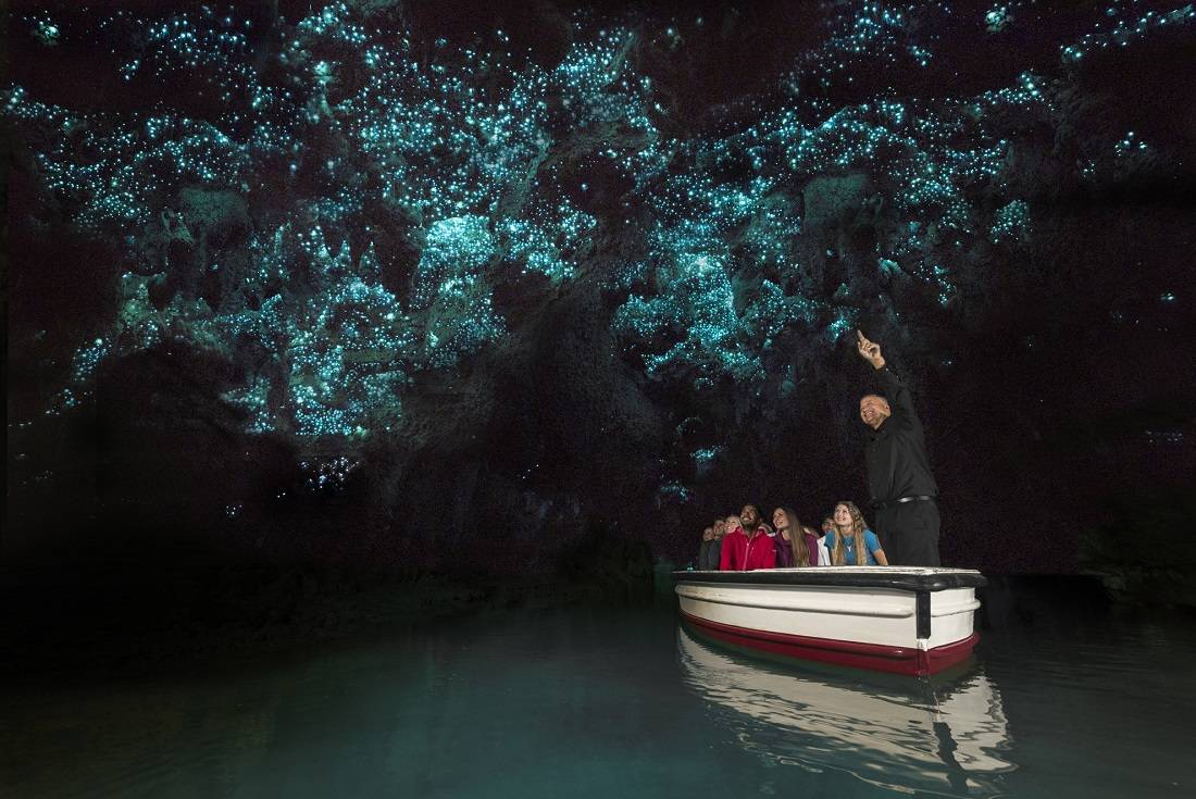Waitomo Glowworm Caves, Waitomo Caves, New Zealand