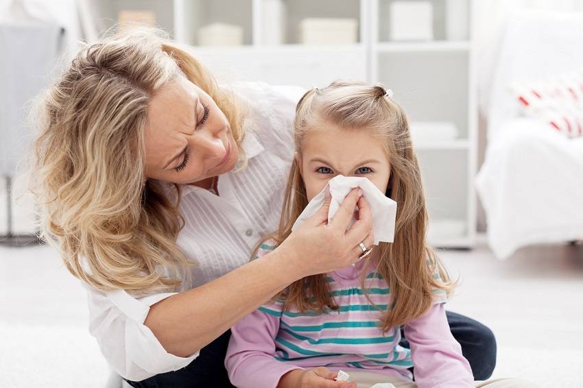 Reduce Allergens in Your Home