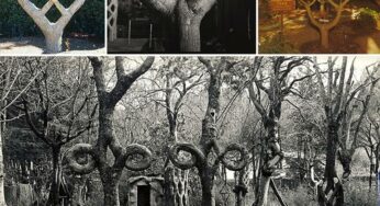 This Amazing Artist Creates Stunning Sculptures out of Living Trees