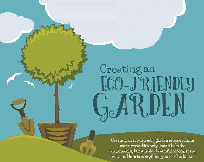 Creating an Eco-Friendly Garden