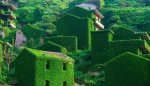 Shengshan Island Abandoned Village Being Overtaken by Nature