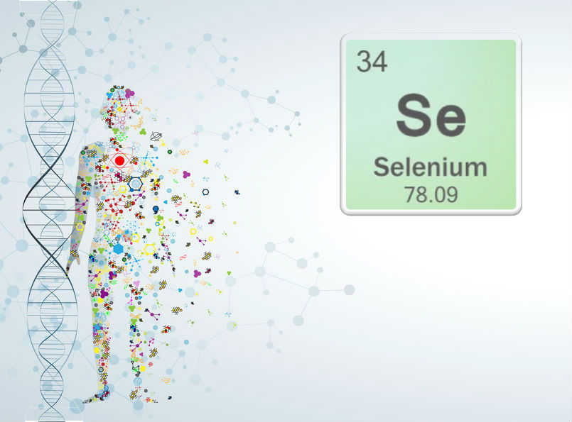 Spot the Warning Signs of Selenium Deficiency