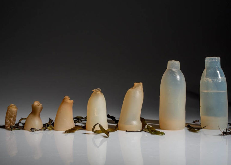 Read more about the article This Degradable Algae Water Bottle Breaks Down As Soon As It’s Empty