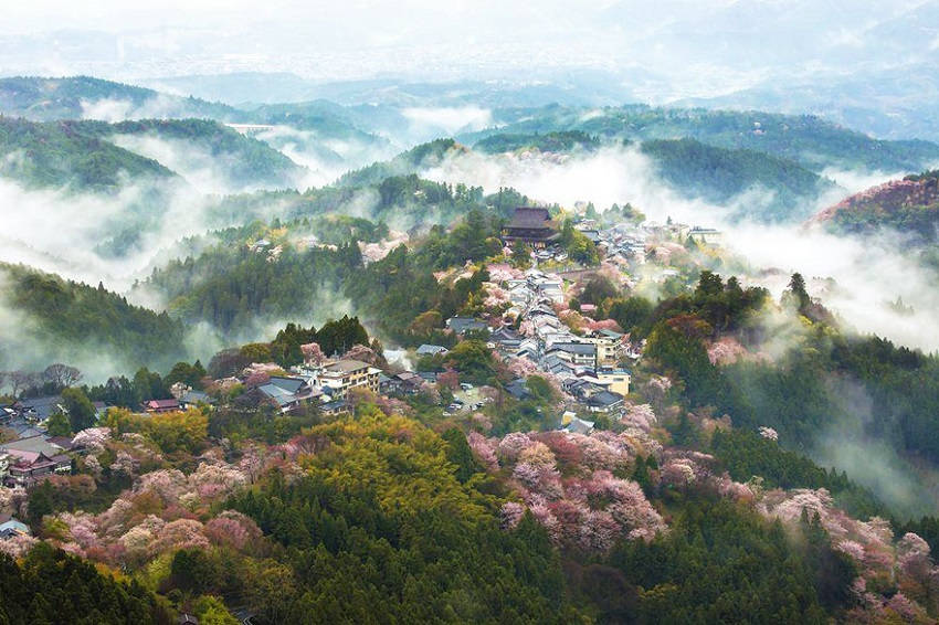 Land of mist - spring-japan-cherry-blossoms-national-geographics