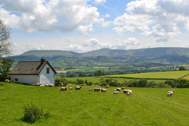Welsh-Cottage