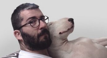 This Guy’s Ex Took Everything with Her but Their Bull Terrier. Here’s What Happened Next