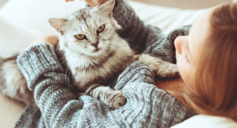4 Benefits of Being a Cat Owner – Proven by Science!