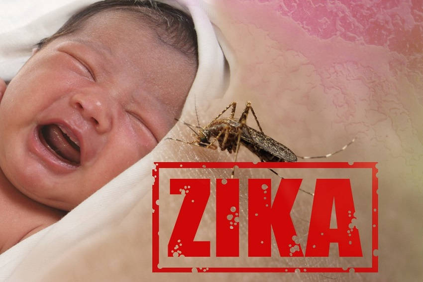 Preventing Zika Virus Infection