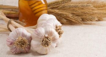 What Happens to Your Body When You Eat Garlic with Honey on an Empty Stomach for 7 Days