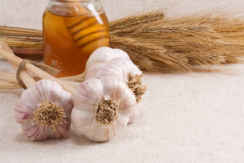 Garlic with honey