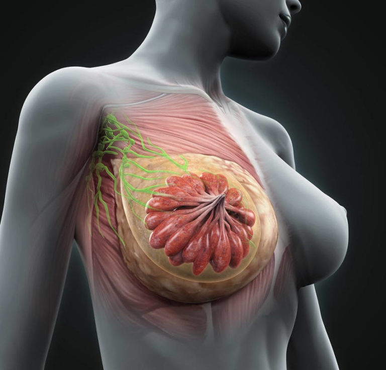 Read more about the article Women in China Rarely Get Breast Cancer and Here Is Why