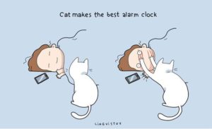 owning-a-cat-funny-illustrations-14