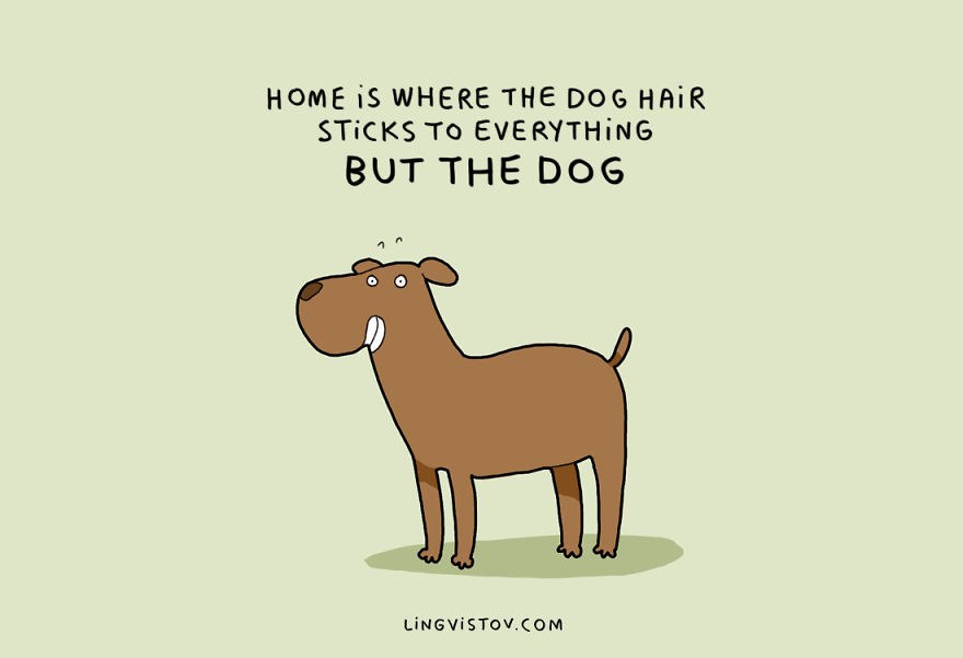 dog-owner-illustrations-7