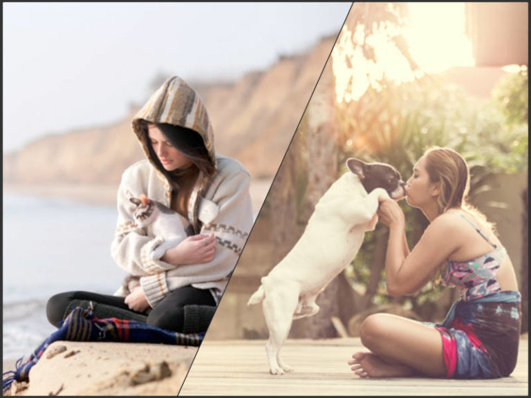 Read more about the article Dog People Have a Lot of Friends, Cat People Tend to Be Single, Facebook Study Reveals