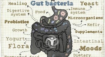 What Are the Benefits of Probiotics for Overall Health