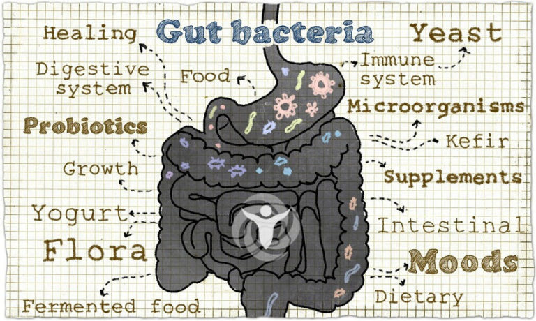 Read more about the article What Are the Benefits of Probiotics for Overall Health