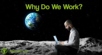 Why Do We Work? Humans Is the Only Species on the Planet That Works for a Living