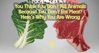 If You Don’t Eat Meat, You Don’t Kill Animals, Right? Wrong, Says Argentinian Naturalist