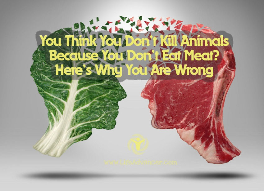 Think Kill Animals Because Don’t Eat Meat