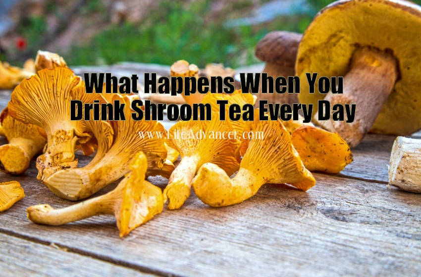 Make Shroom Tea Incredible Health Benefits