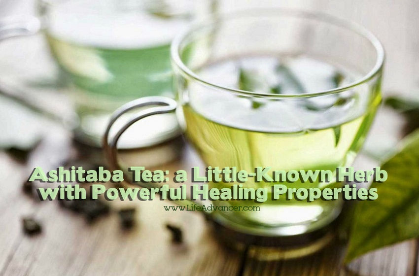 Ashitaba Tea Herb