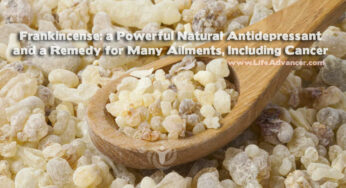 Frankincense Essential Oil Benefits for Treating Ailments